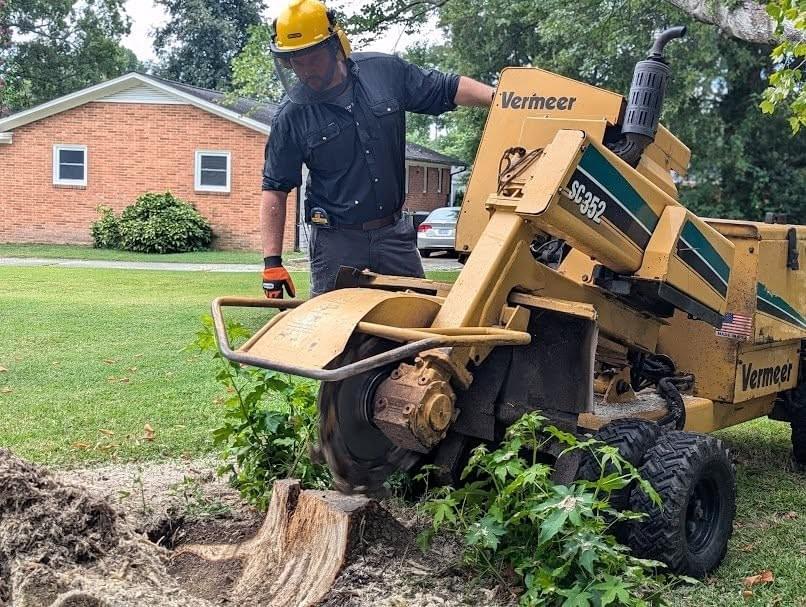 stump grinding in waukesha county wi stump grinding in waukesha county wi