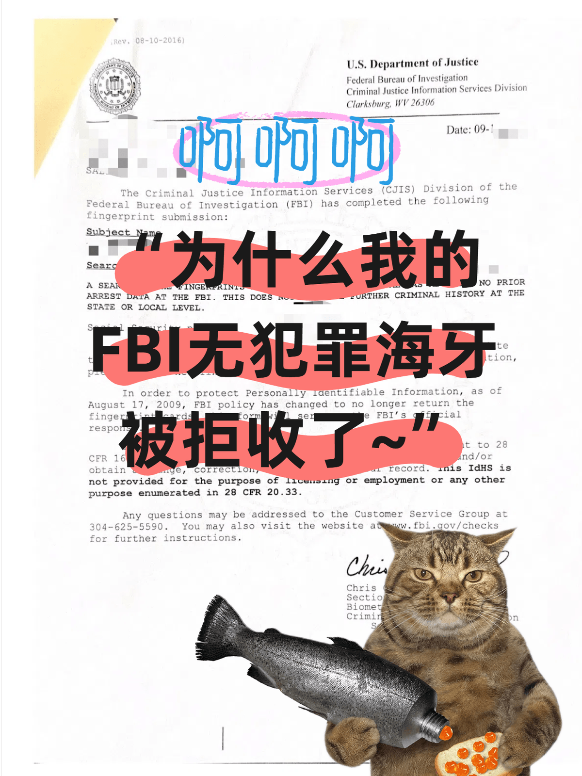 美国FBI无犯罪记录海牙认证 美国FBI无犯罪记录海牙认证