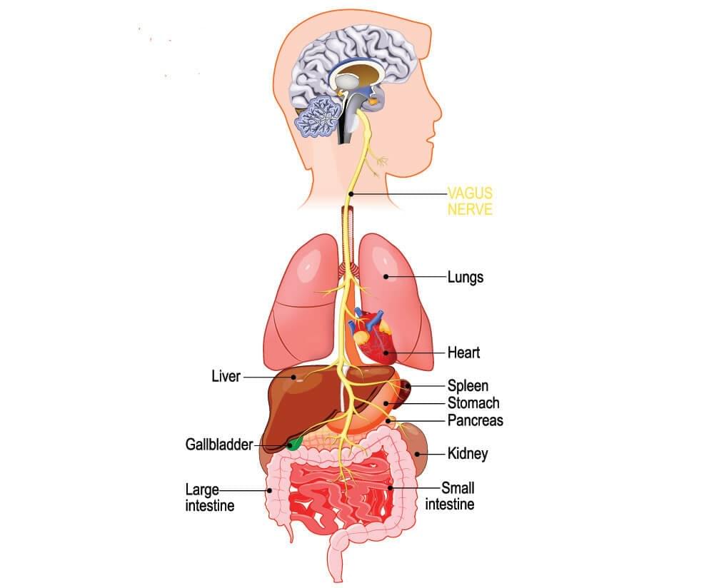 Section image