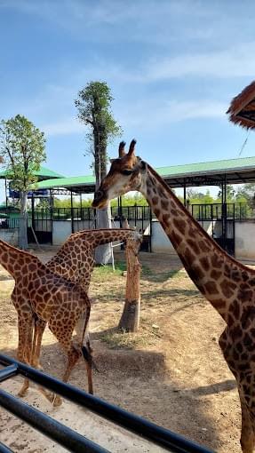 Our professional guide will provide you with in-depth cultural and historical explanations, making your journey rich and colorful. private guided service Our service luxury travel Our professional guide will provide you with in-depth cultural and historical explanations, making your journey rich and colorful. private guided service Our service luxury travel