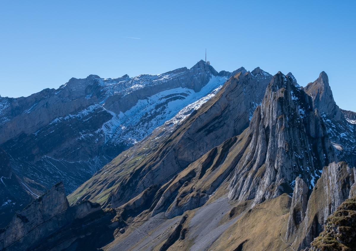 Section image