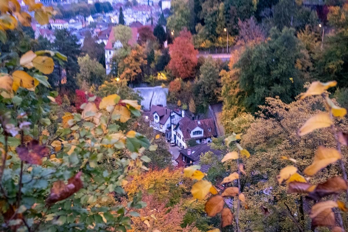 Section image