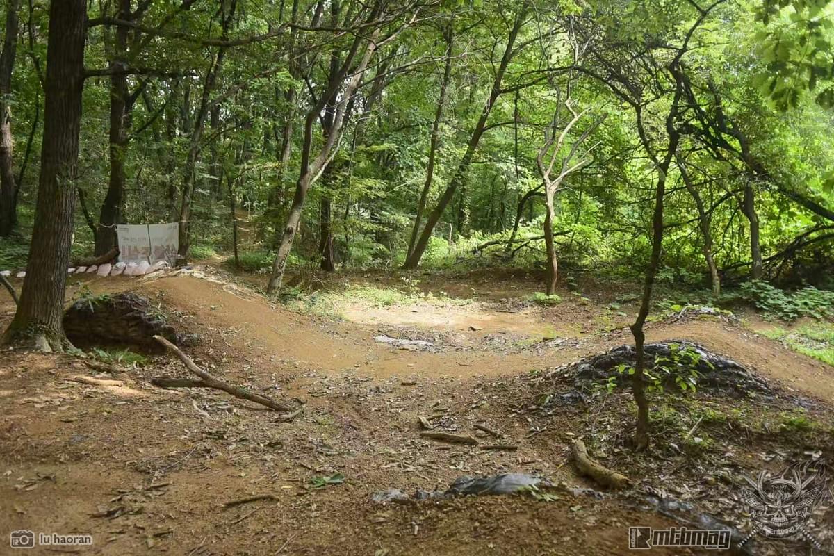 Section image
