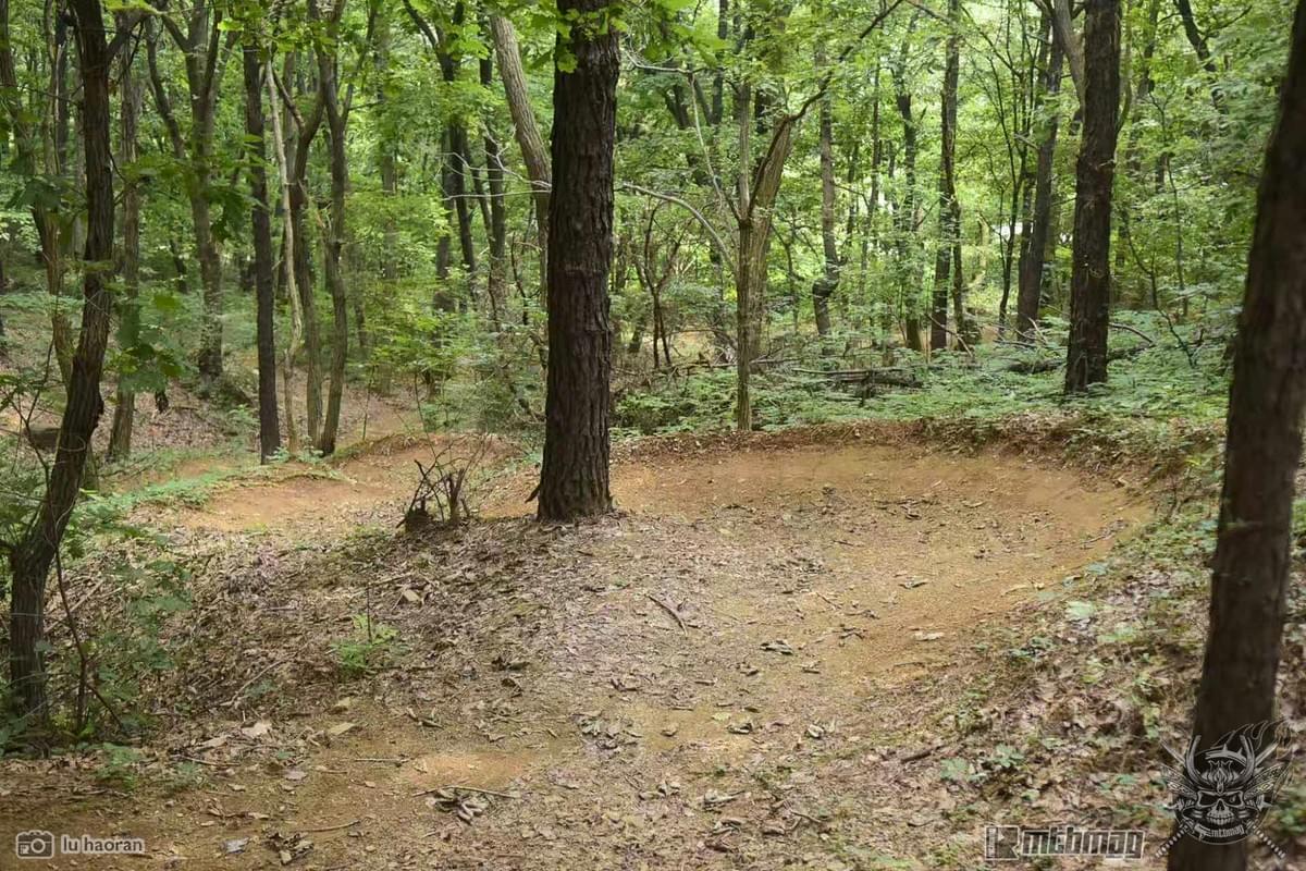 Section image