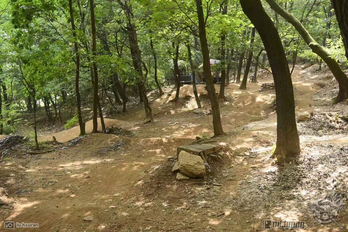 Section image