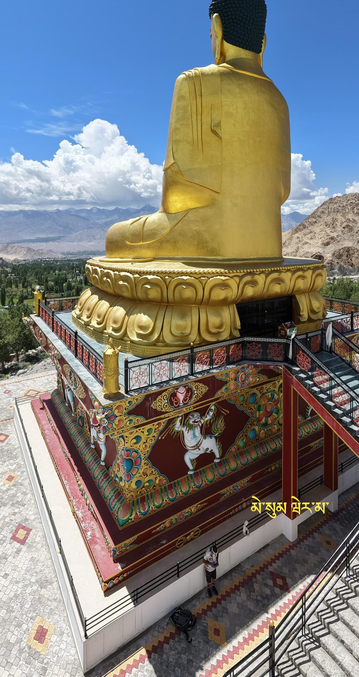 Section image