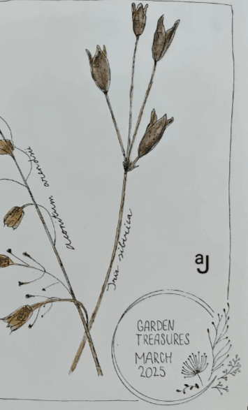 nature journal pagina in winterse kleuren als voorbeeld voor beginners door Arija Jansen nature journal pagina in winterse kleuren als voorbeeld voor beginners door Arija Jansen