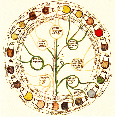 urine wiel voor nature journaling urine wiel voor nature journaling