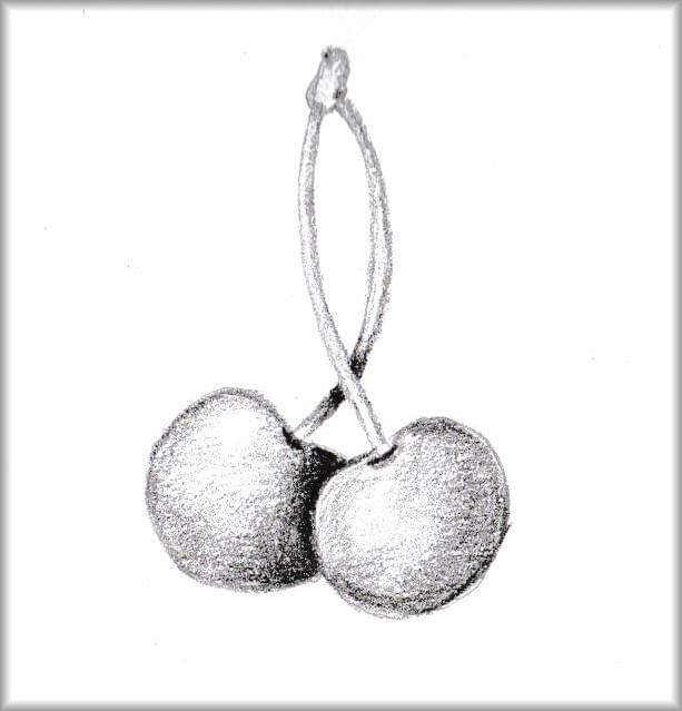 Natuur tekening, botanische tekening bloemen in grafiet Natuur tekening, botanische tekening bloemen in grafiet