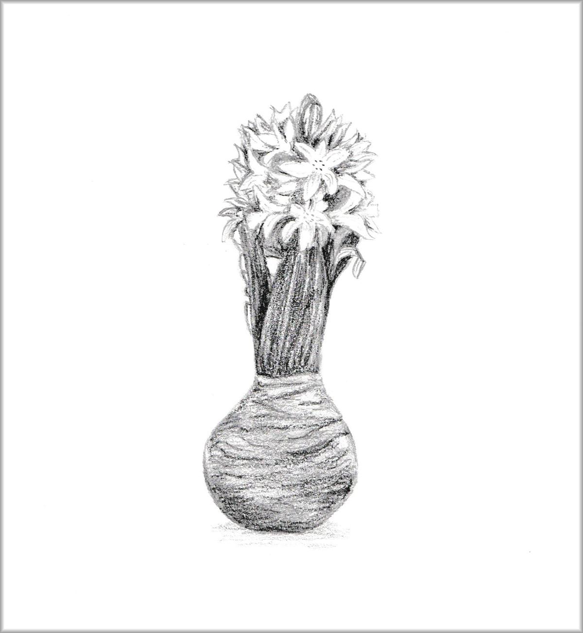 Natuur tekening, botanische tekening kers door Arija Jansen in haar nature journal Natuur tekening, botanische tekening kers door Arija Jansen in haar nature journal