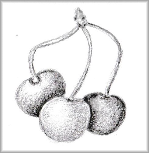 Natuur tekening, botanische tekening kersen Natuur tekening, botanische tekening kersen