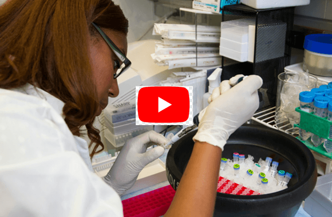Discover how our innovative solutions can transform your clinical and veterinary laboratory, offering precise and efficient results. Innovations in Reagents and Laboratory Techniques We create innovations in the areas of clinical and veterinary laboratory such as reagents and techniques Discover how our innovative solutions can transform your clinical and veterinary laboratory, offering precise and efficient results. Innovations in Reagents and Laboratory Techniques We create innovations in the areas of clinical and veterinary laboratory such as reagents and techniques