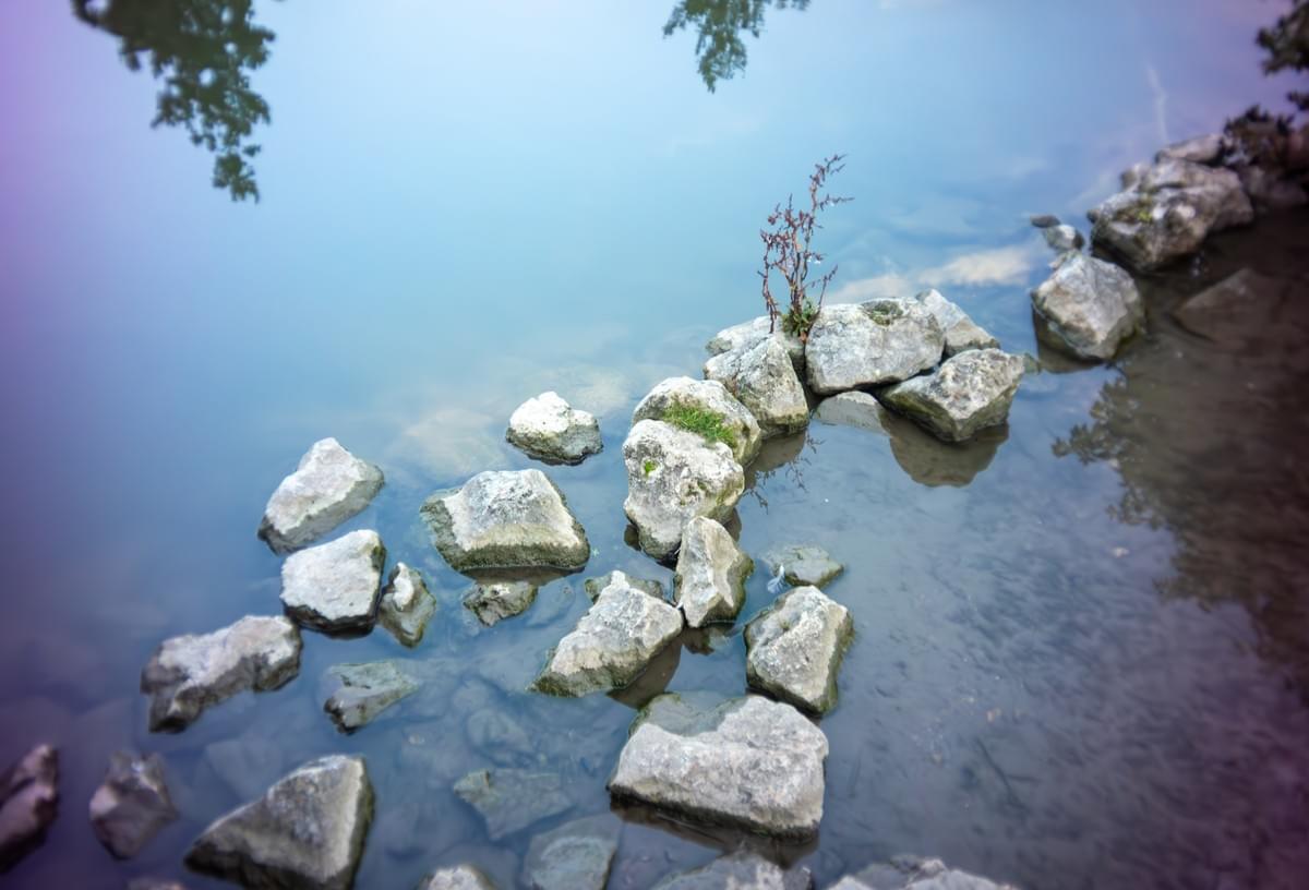 Section image