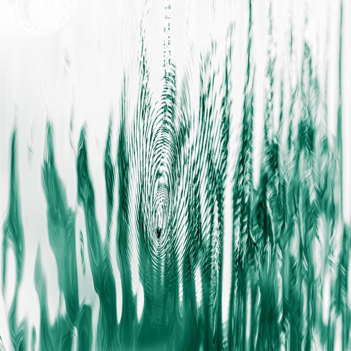 broken image