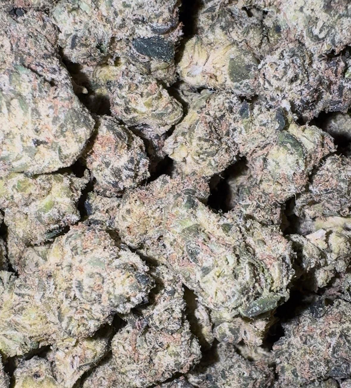 Can't DUB US: Supreme Runtz THCA