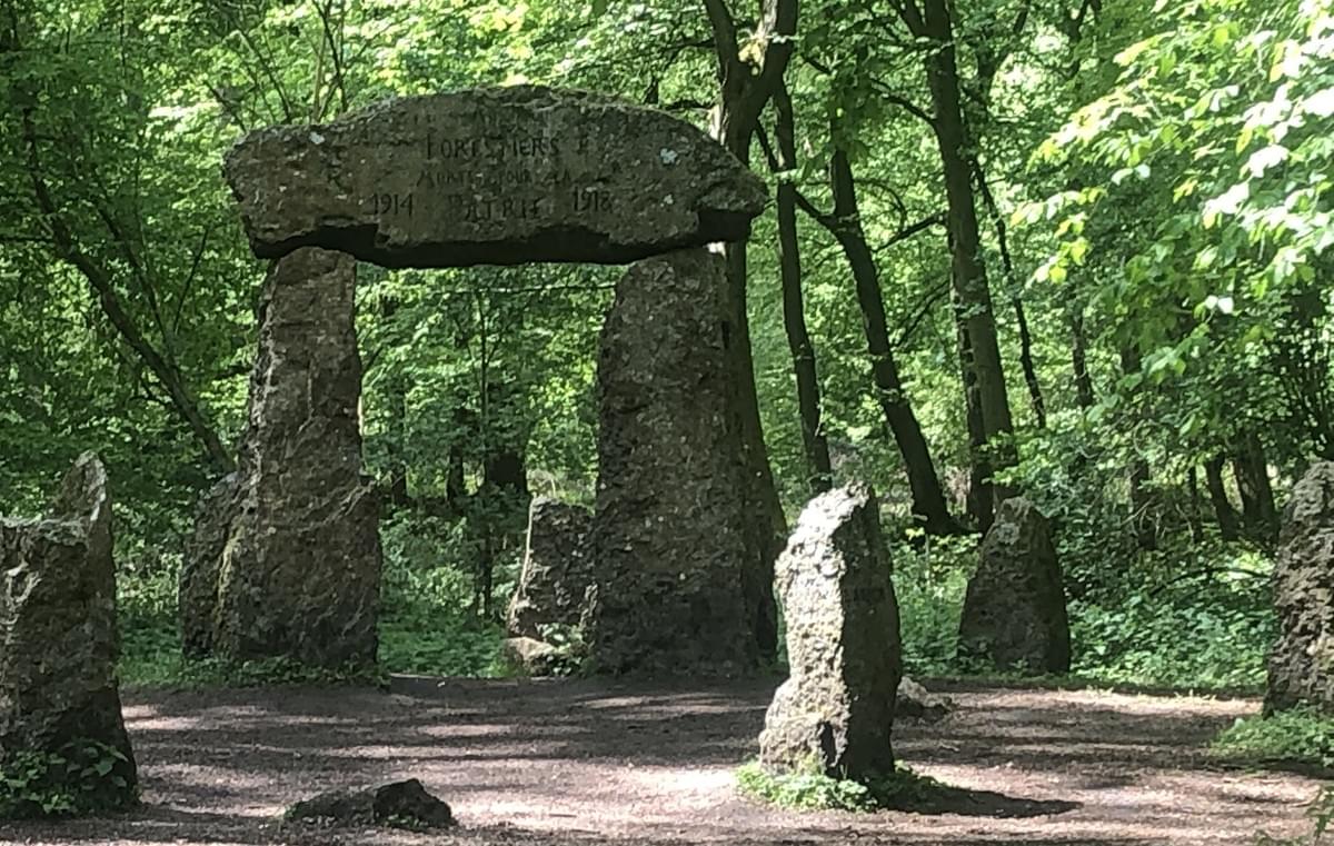 Section image