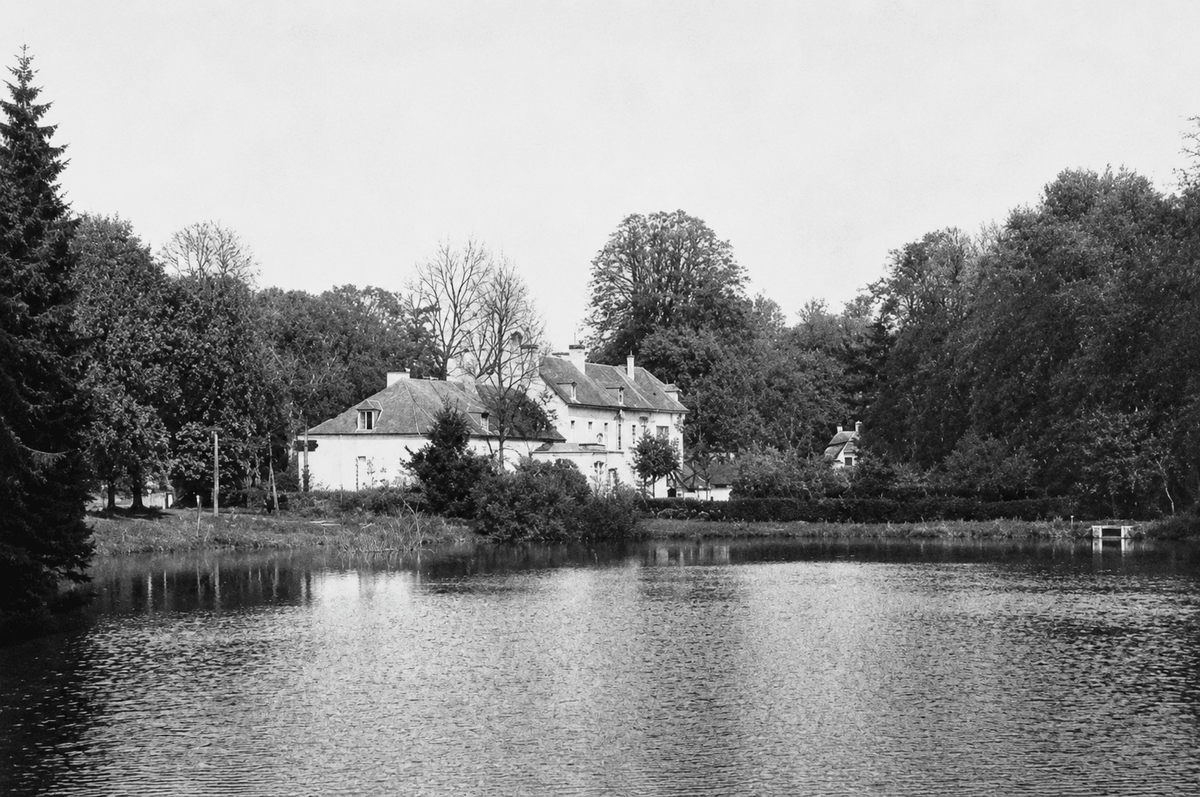 Section image
