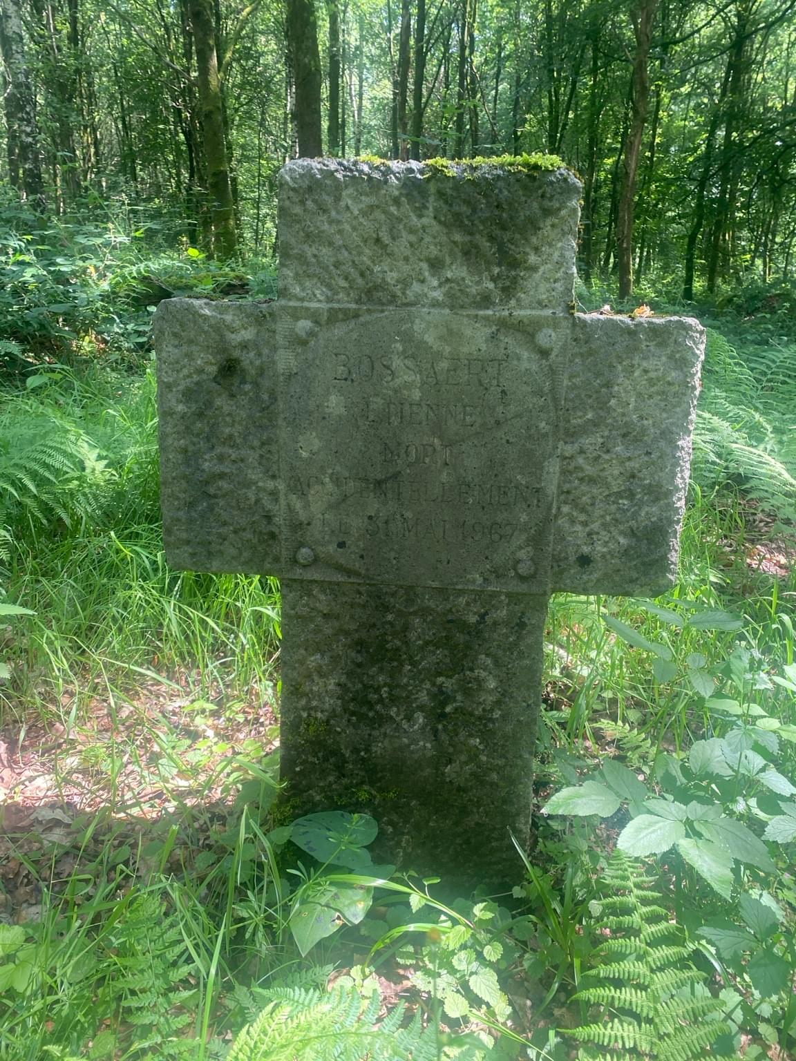 Section image