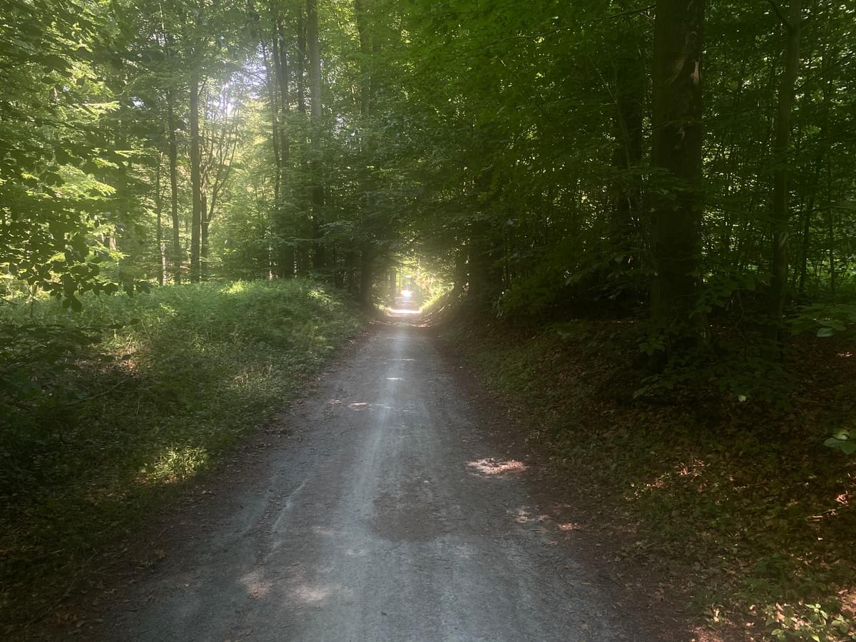 Section image