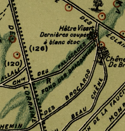 Section image