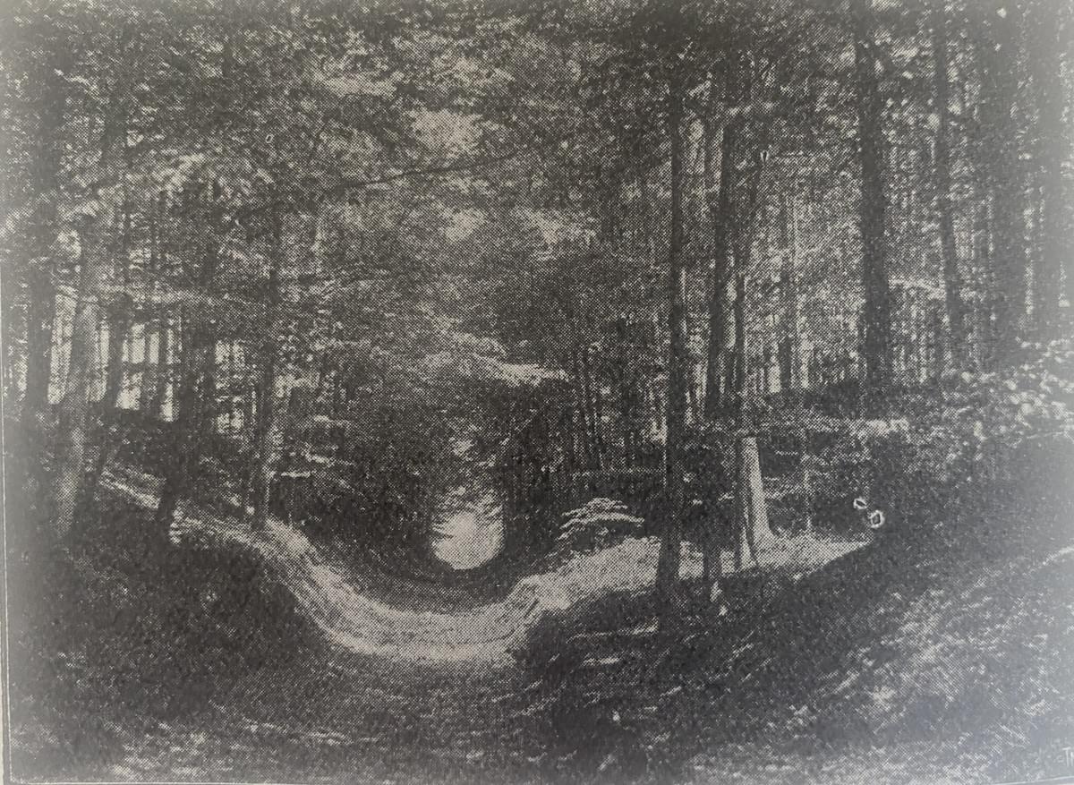 Section image