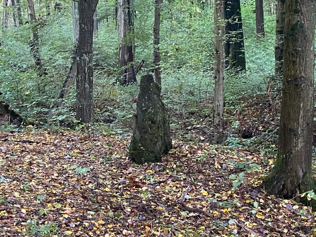Section image