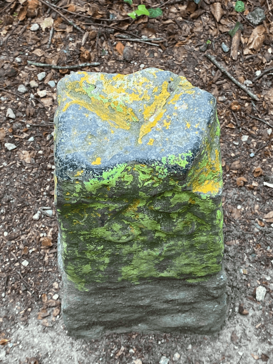 Section image