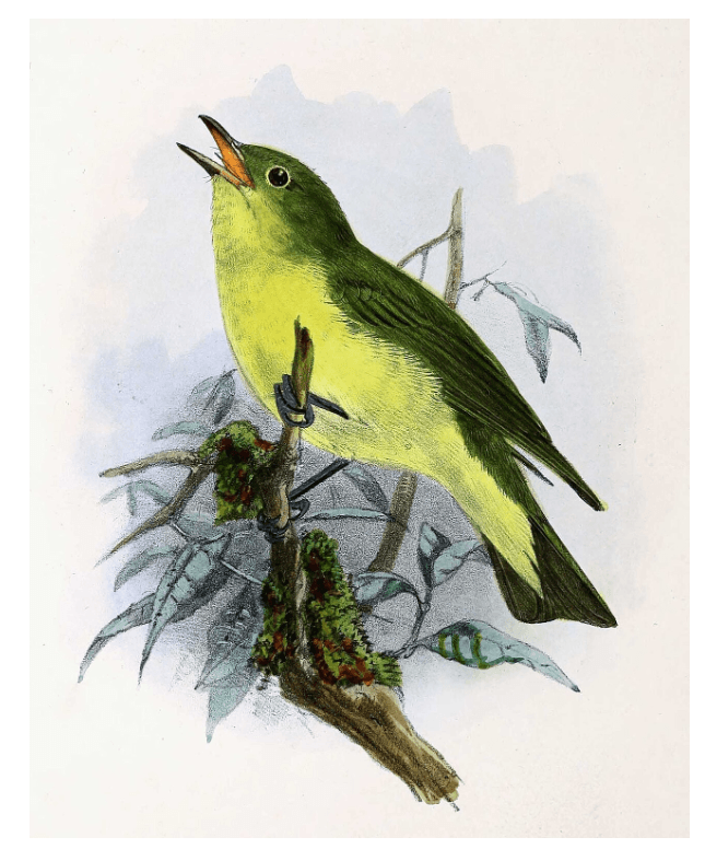 Section image