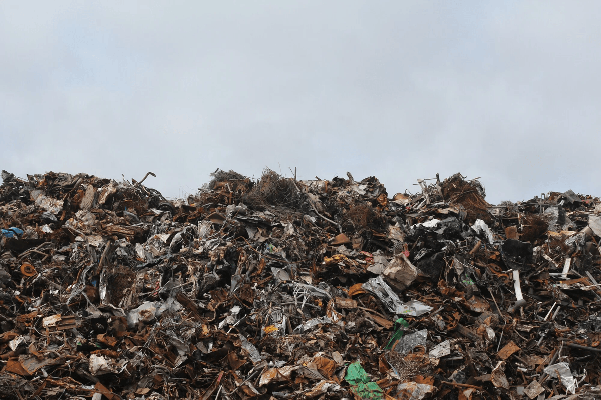 Section image
