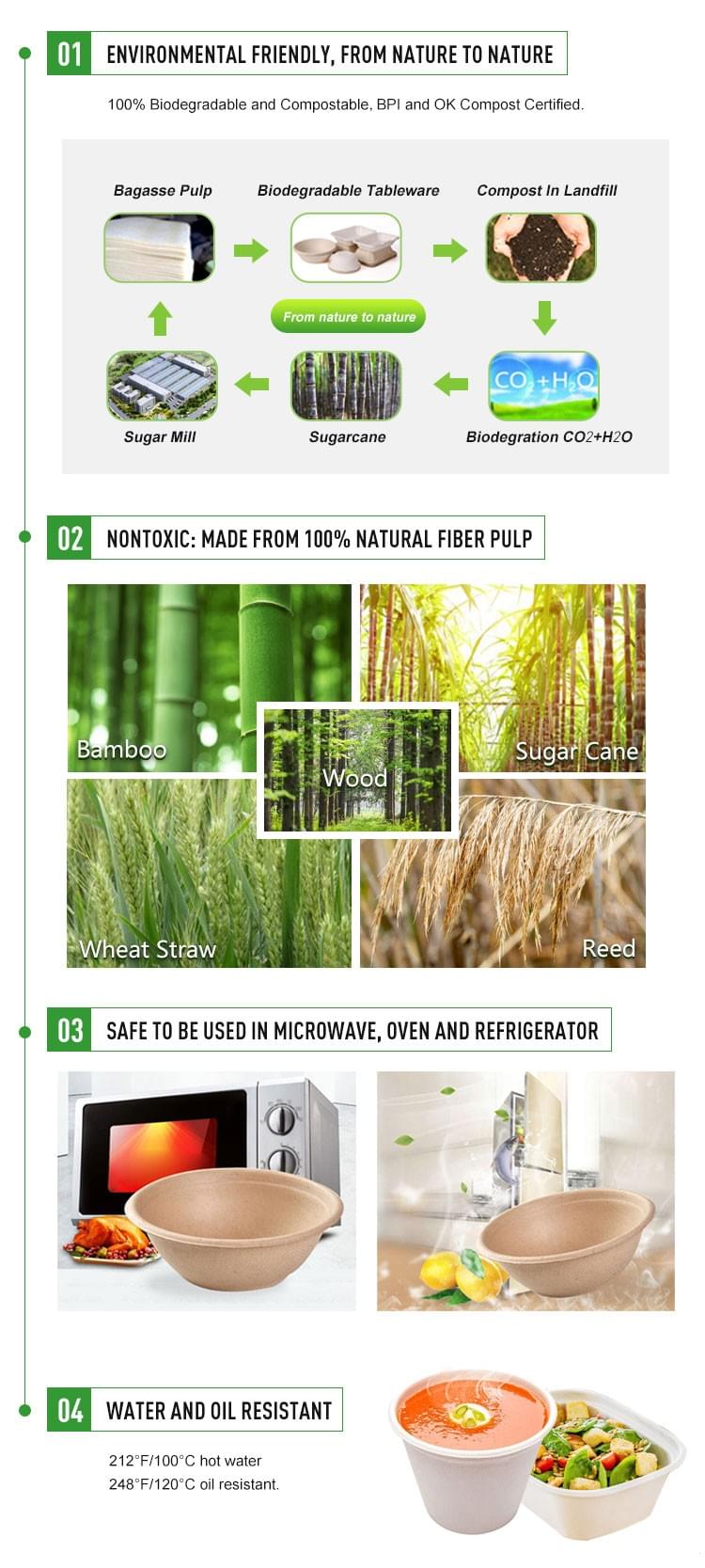 All Green Technology Co., Ltd. is a one-stop China manufacturer and Supplier for 100% biodegradable and compostable disposable food packaging, Biodegradable disposable tableware, Biodegradable disposable Plates / Bowls & Lids / Trays / Cups & Lids / Cutlery, Paper Straws, Molded Pulp consumer goods packaging products, Degradable Pulp Medical Consumables Series, Biodegradable Egg Trays Peat Pots / Seed Starter Pots / Seedling Cup, and Biodegradable Plastic Bags, Biodegradable & Disposable Cat Litter Boxes All Green Technology Co., Ltd. is a one-stop China manufacturer and Supplier for 100% biodegradable and compostable disposable food packaging, Biodegradable disposable tableware, Biodegradable disposable Plates / Bowls & Lids / Trays / Cups & Lids / Cutlery, Paper Straws, Molded Pulp consumer goods packaging products, Degradable Pulp Medical Consumables Series, Biodegradable Egg Trays Peat Pots / Seed Starter Pots / Seedling Cup, and Biodegradable Plastic Bags, Biodegradable & Disposable Cat Litter Boxes