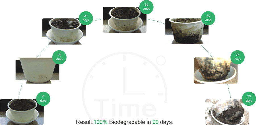 All Green Technology Co., Ltd. is a one-stop China manufacturer and Supplier for 100% biodegradable and compostable disposable food packaging, Biodegradable disposable tableware, Biodegradable disposable Plates / Bowls & Lids / Trays / Cups & Lids / Cutlery, Paper Straws, Molded Pulp consumer goods packaging products, Degradable Pulp Medical Consumables Series, Biodegradable Egg Trays Peat Pots / Seed Starter Pots / Seedling Cup, and Biodegradable Plastic Bags, Biodegradable & Disposable Cat Litter Boxes All Green Technology Co., Ltd. is a one-stop China manufacturer and Supplier for 100% biodegradable and compostable disposable food packaging, Biodegradable disposable tableware, Biodegradable disposable Plates / Bowls & Lids / Trays / Cups & Lids / Cutlery, Paper Straws, Molded Pulp consumer goods packaging products, Degradable Pulp Medical Consumables Series, Biodegradable Egg Trays Peat Pots / Seed Starter Pots / Seedling Cup, and Biodegradable Plastic Bags, Biodegradable & Disposable Cat Litter Boxes