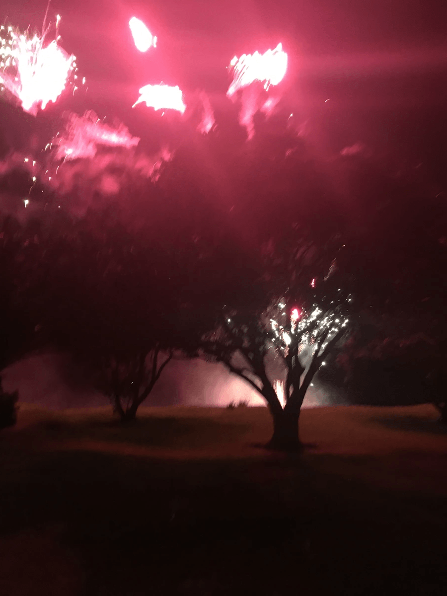 Image of trees with red sky from fireworks exploding in the background Image of trees with red sky from fireworks exploding in the background