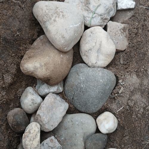 Section image