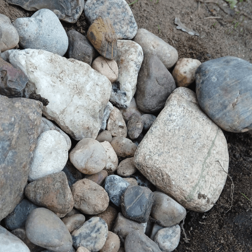 Section image