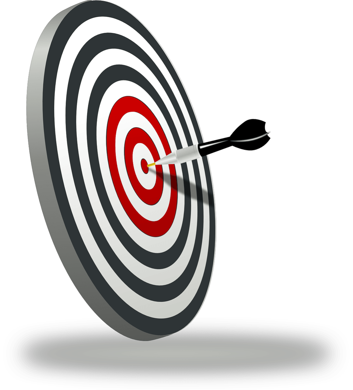 Our Mission Our Mission