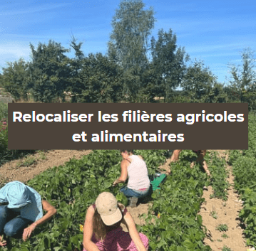 En 2019, nous lancions le projet "Qu’est-ce qu’on mange demain dans le Bocage?" suite à un apéro avec des parents d’élèves qui voulaient revoir l’alimentation de leurs enfants à la cantine. Aujourd’hui, le réseau compte une trentaine de producteurs qui alimentent une douzaine de restaurations collectives. Notre ambition : favoriser la transition des restaurations collectives vers une alimentation 100% bio et locale à coût constant. En 2019, nous lancions le projet "Qu’est-ce qu’on mange demain dans le Bocage?" suite à un apéro avec des parents d’élèves qui voulaient revoir l’alimentation de leurs enfants à la cantine. Aujourd’hui, le réseau compte une trentaine de producteurs qui alimentent une douzaine de restaurations collectives. Notre ambition : favoriser la transition des restaurations collectives vers une alimentation 100% bio et locale à coût constant.