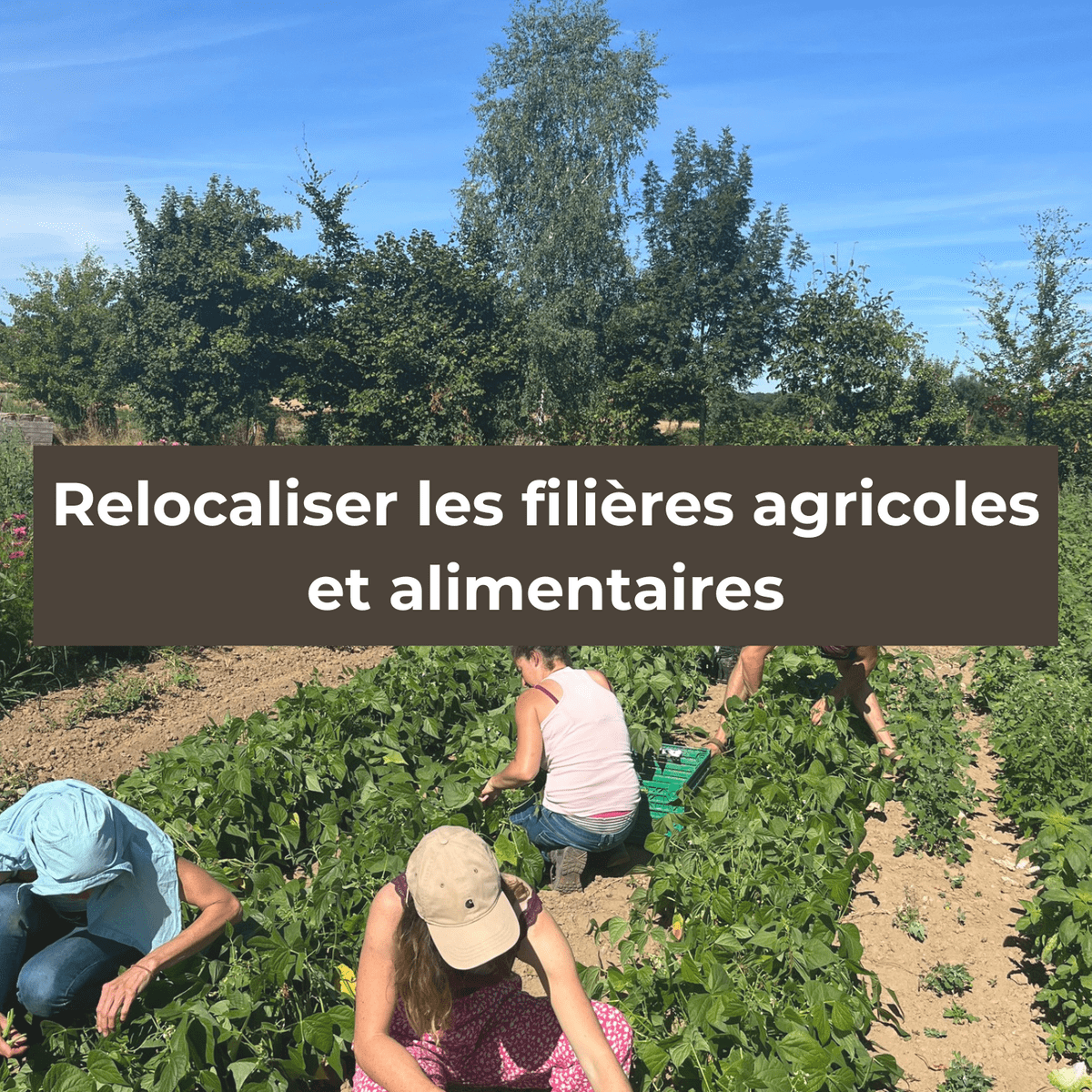 En 2019, nous lancions le projet "Qu’est-ce qu’on mange demain dans le Bocage?" suite à un apéro avec des parents d’élèves qui voulaient revoir l’alimentation de leurs enfants à la cantine. Aujourd’hui, le réseau compte une trentaine de producteurs qui alimentent une douzaine de restaurations collectives. Notre ambition : favoriser la transition des restaurations collectives vers une alimentation 100% bio et locale à coût constant.  En 2019, nous lancions le projet "Qu’est-ce qu’on mange demain dans le Bocage?" suite à un apéro avec des parents d’élèves qui voulaient revoir l’alimentation de leurs enfants à la cantine. Aujourd’hui, le réseau compte une trentaine de producteurs qui alimentent une douzaine de restaurations collectives. Notre ambition : favoriser la transition des restaurations collectives vers une alimentation 100% bio et locale à coût constant.
