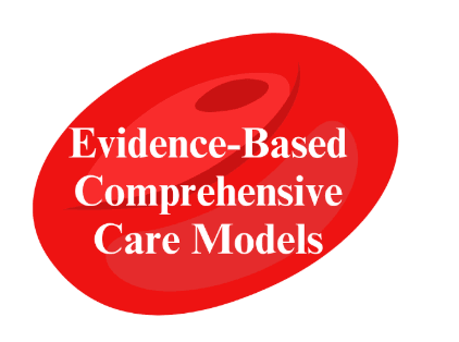 Diagram representing SWAG Research Lab’s evidence-based, comprehensive care models for women and girls with sickle cell disease, integrating research, advocacy, and support. Diagram representing SWAG Research Lab’s evidence-based, comprehensive care models for women and girls with sickle cell disease, integrating research, advocacy, and support.