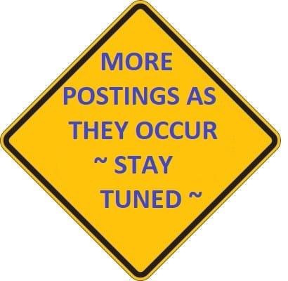 Our primary focus is the TNR program, which helps manage the feral cat population by humanely trapping, neutering, and returning them to their original habitats. This approach not only reduces overpopulation but also improves the health and well-being of these cats. TNR (Trap/Neuter/Return) Program What We Do We are primarily a TNR (Trap/Neuter/Return) organization looking after the feral cat population in Southeast Saskatchewan but we handle other cat related projects as well. Our primary focus is the TNR program, which helps manage the feral cat population by humanely trapping, neutering, and returning them to their original habitats. This approach not only reduces overpopulation but also improves the health and well-being of these cats. TNR (Trap/Neuter/Return) Program What We Do We are primarily a TNR (Trap/Neuter/Return) organization looking after the feral cat population in Southeast Saskatchewan but we handle other cat related projects as well.