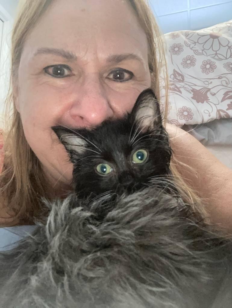 — Lisa Carter “Working with 9th Life Cat Rescue was a refreshing experience. Their team is knowledgeable and passionate about helping cats.” Our dedicated team has positively impacted the lives of countless cats and their communities We are primarily a TNR (Trap/Neuter/Return) organization looking after the feral cat population in Southeast Saskatchewan but we handle other cat related projects as well. — Lisa Carter “Working with 9th Life Cat Rescue was a refreshing experience. Their team is knowledgeable and passionate about helping cats.” Our dedicated team has positively impacted the lives of countless cats and their communities We are primarily a TNR (Trap/Neuter/Return) organization looking after the feral cat population in Southeast Saskatchewan but we handle other cat related projects as well.