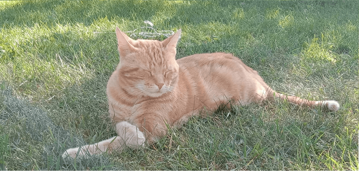 Click here to see our efforts Click here to see our efforts