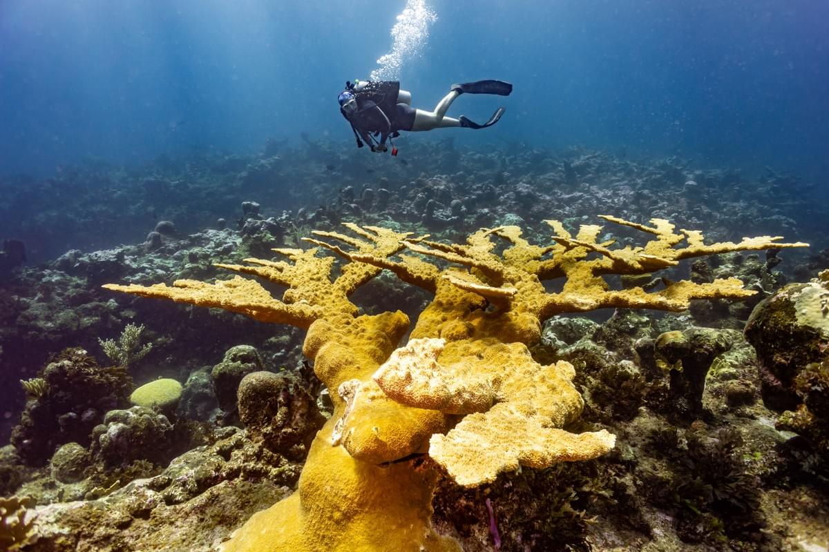 Photo credit: Patricia Guaridola @amoredimare_uw Photo credit: Patricia Guaridola @amoredimare_uw