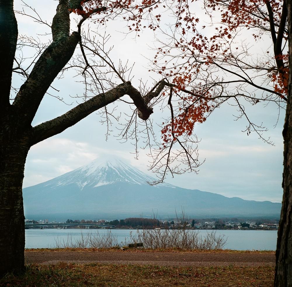 Mt Fuji through leaves Mt Fuji through leaves