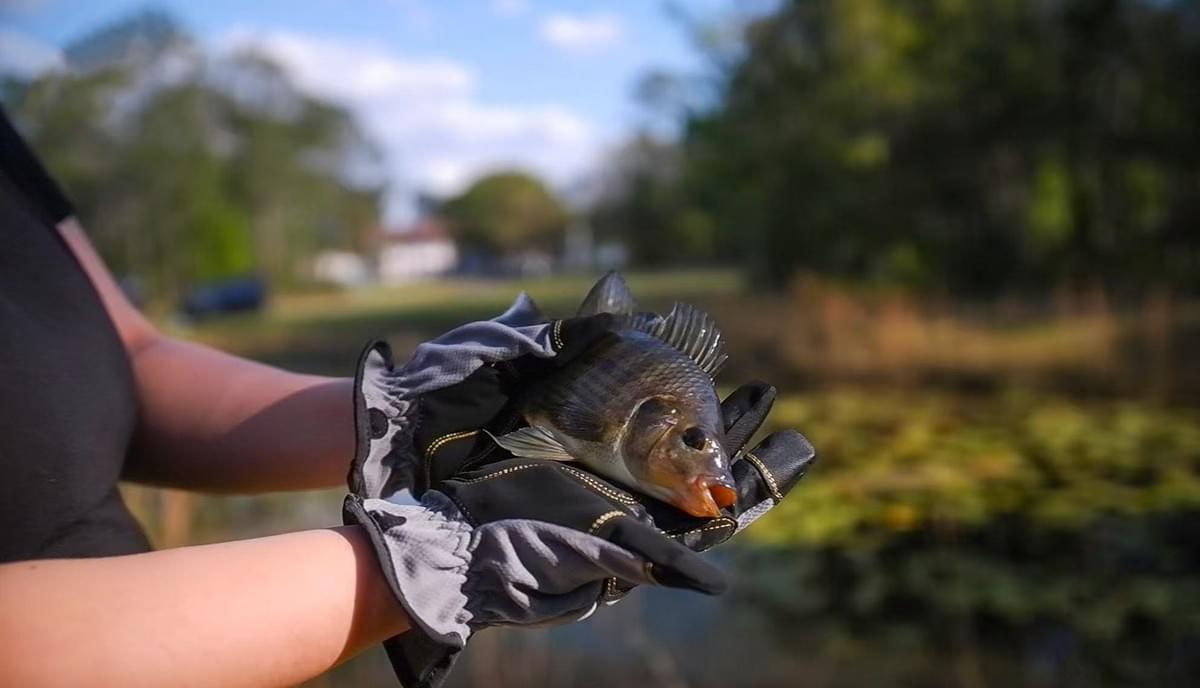 Join us, enjoy unique social experiences and professional event services, enhance your social life. Explore our club services Clubhouse Join us, enjoy unique social experiences and professional event services, enhance your social life. Explore our club services Clubhouse