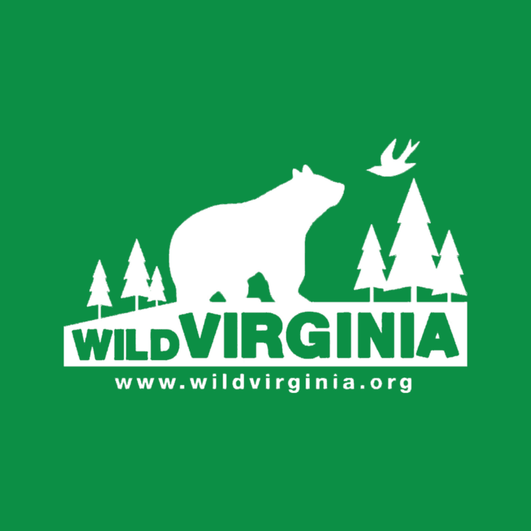 Operations Coordinator, Wild Virginia Operations Coordinator, Wild Virginia