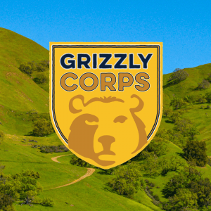GrizzlyCorp Fellowship GrizzlyCorp Fellowship