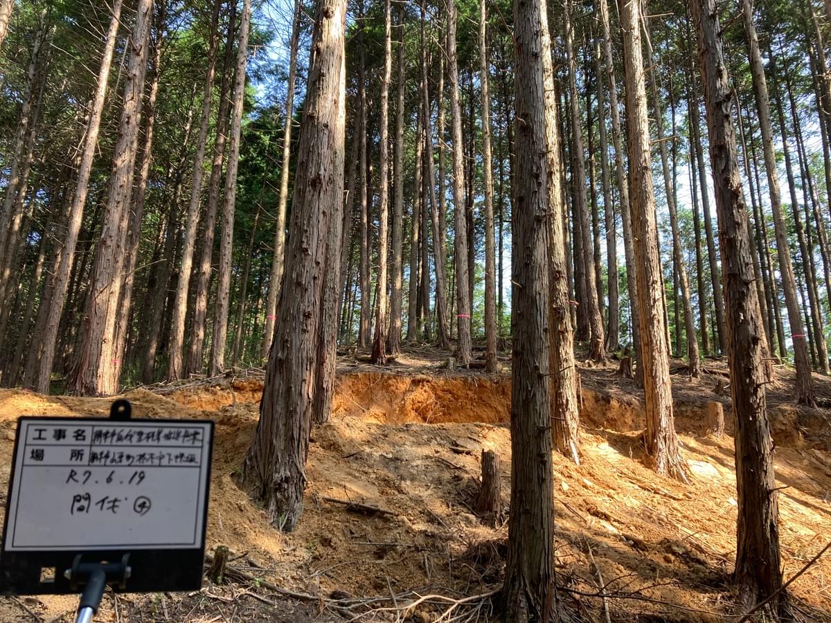 Section image