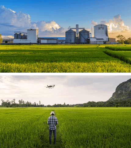 We commit to producing rice of the highest quality, grown in the best conditions to ensure exceptional taste and nutrition. Superior Quality Our Mission Company of production and marketing of rice in Ivory Coast We commit to producing rice of the highest quality, grown in the best conditions to ensure exceptional taste and nutrition. Superior Quality Our Mission Company of production and marketing of rice in Ivory Coast