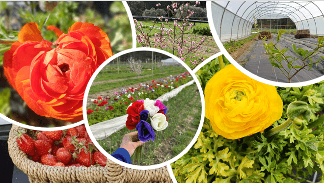 Explore our fresh and authentic products! Discover our local selection Martigues - Naturally local Explore our fresh and authentic products! Discover our local selection Martigues - Naturally local