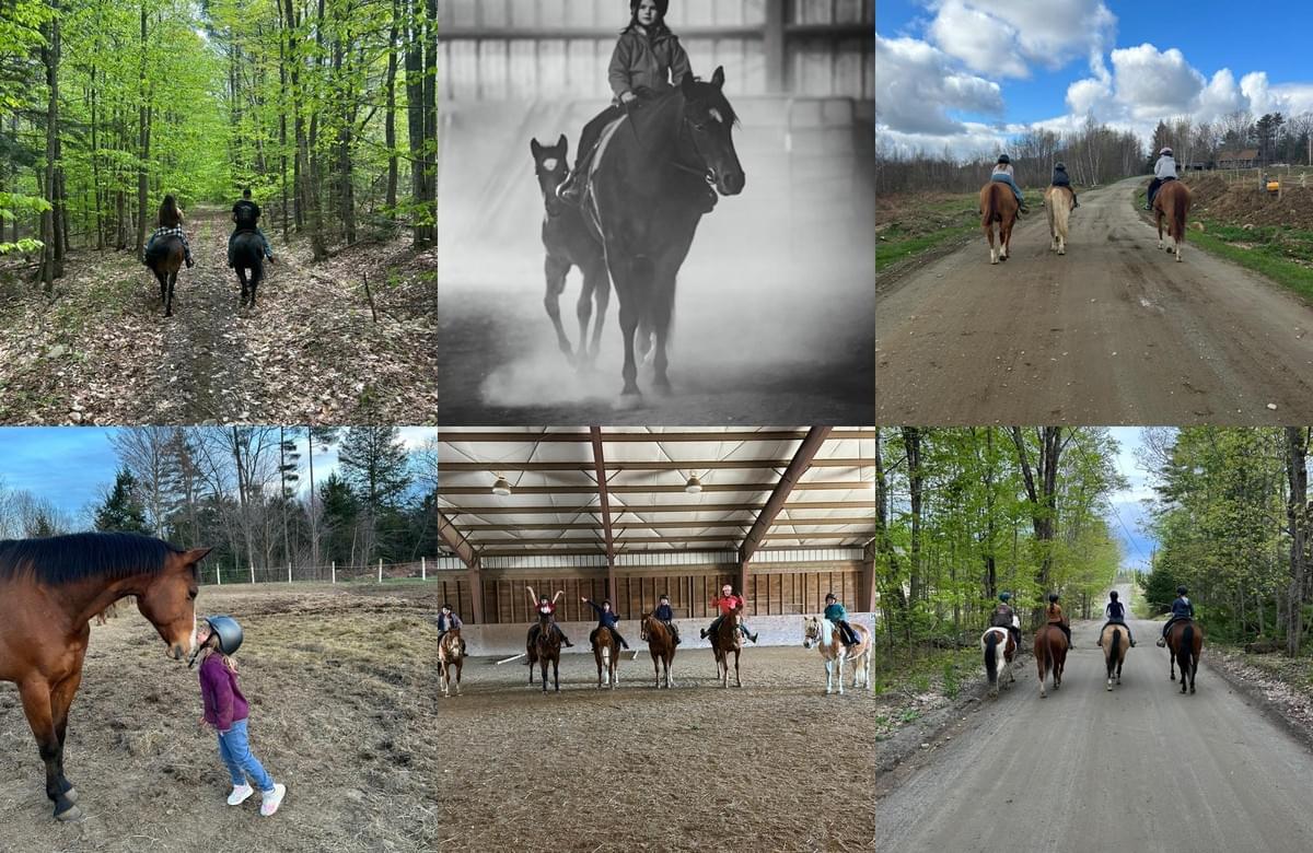 Discover Your Passion for Riding Equestrian Barn providing riding lessons, camps, and boarding for horses. Discover Your Passion for Riding Equestrian Barn providing riding lessons, camps, and boarding for horses.